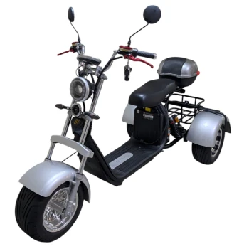 Электроскутер трехколесный CITYCOCO GT X11 TRIKE Серебристый